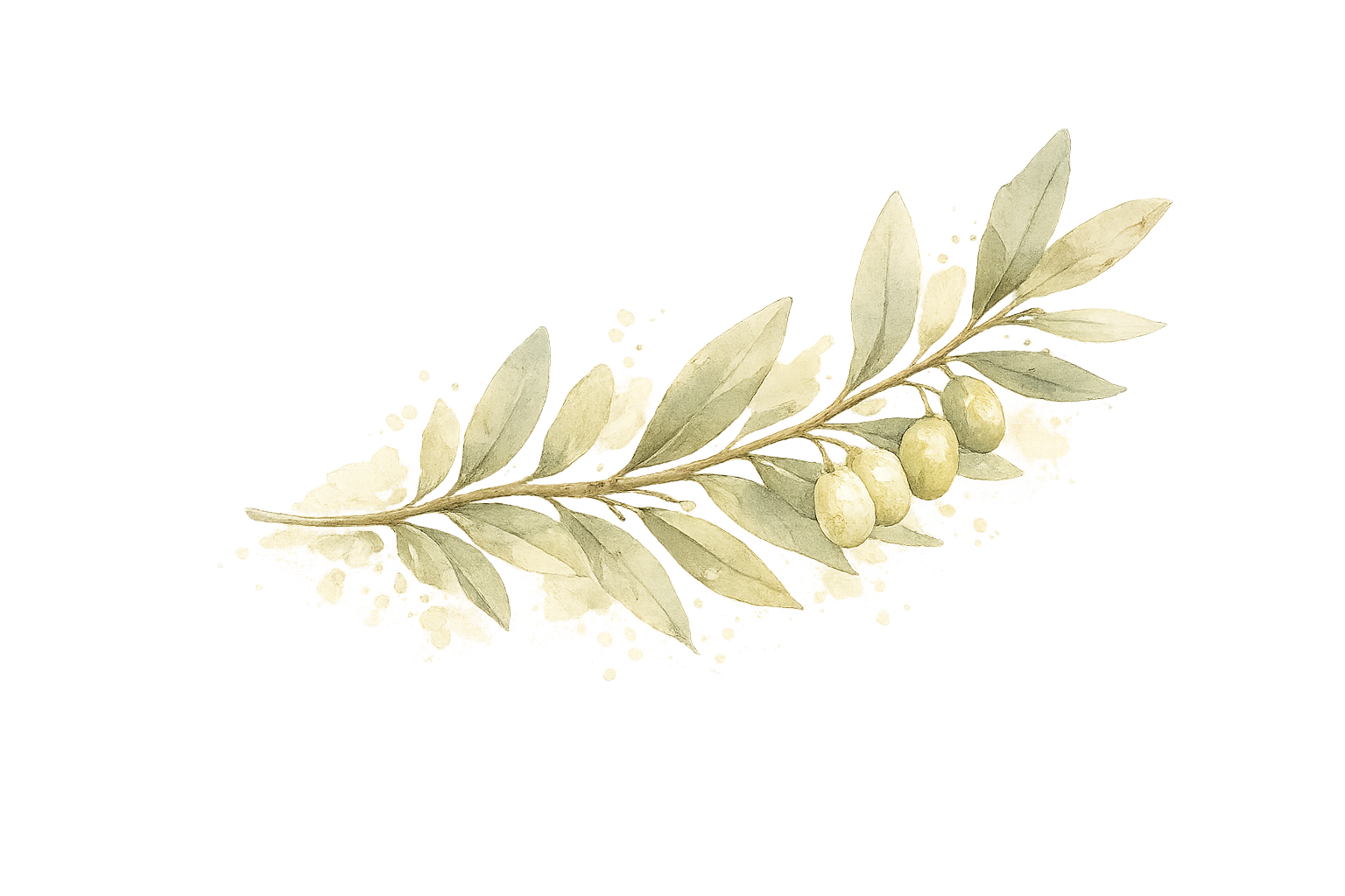 olive